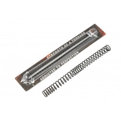 ACM Tornado Muelle 100