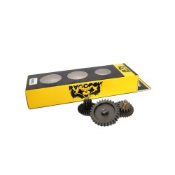 RACCOON Conjunto de...