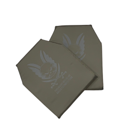 WARRIOR ASSAULT Placas...